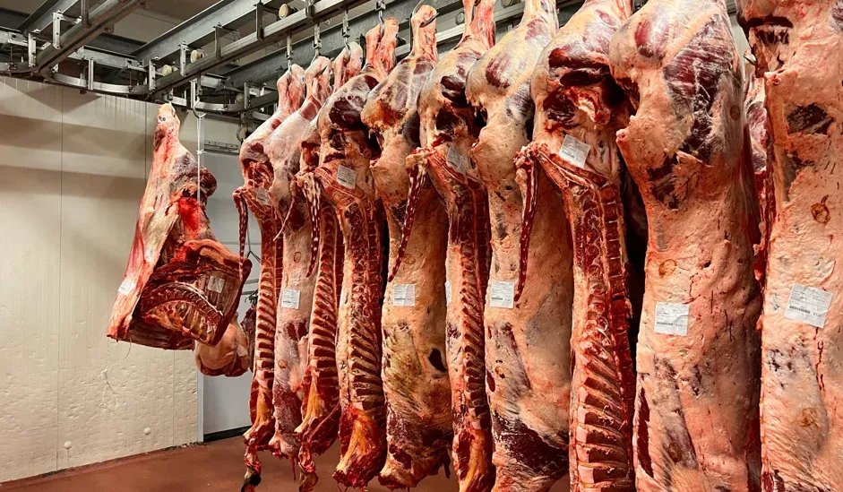 La sala di macellazione dello stabilimento